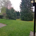 In *