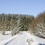 In * 브라운라제