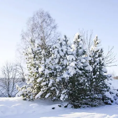 Διαμέρισμα In Braunlage