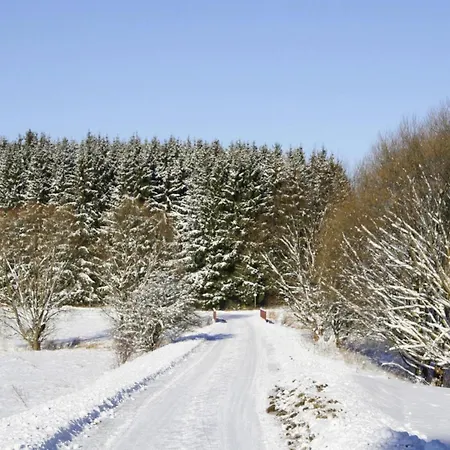 In * Braunlage